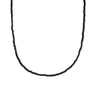 J04054NE01095_1.jpg