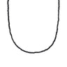 J04071NE01095_1.jpg