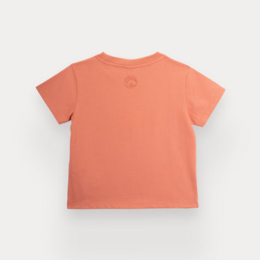 TS09NA3811176_3.jpg