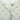 VE24OA341217D_4.jpg